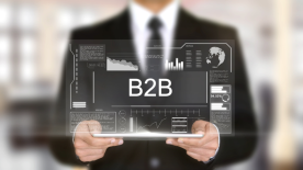 Strategies for Achieving Success in B2B Fashion E-commerce