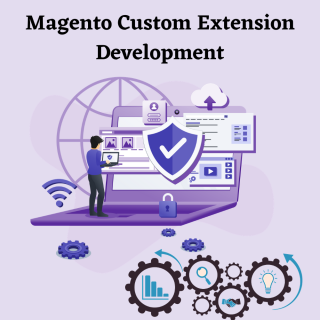 Magento Custom Extension Development Service