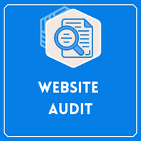 Website_Audit