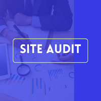 site_audit